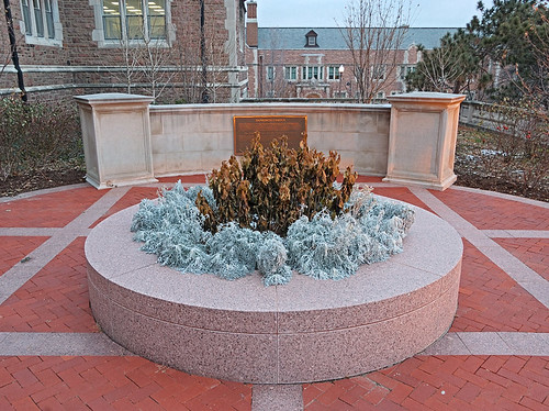 Washington University, in Saint Louis, Missouri, USA - frozen planter