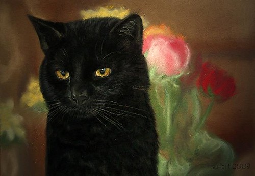 black cat von Nordlichter4.