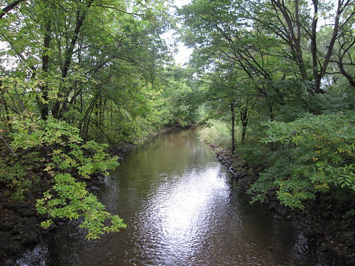 Minnehaha Creek Upstream from Hiawatha Golf Course