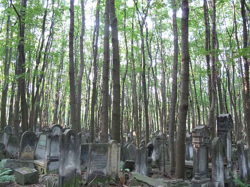 headstones and trees