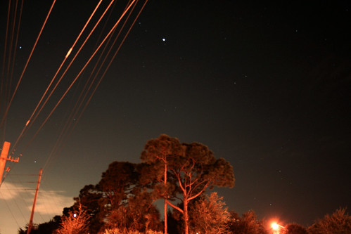 stars and trees and powerlines