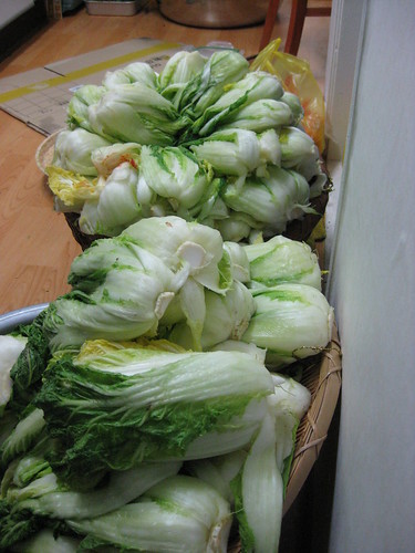 Salt-soaked cabbages