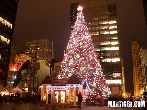 Christmas Tree at Chicago Daley Plaza