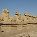 Temple of Karnak, Way of Offerings with avenue of criosphinxes usurped by Ramesses II by Prof. Mortel