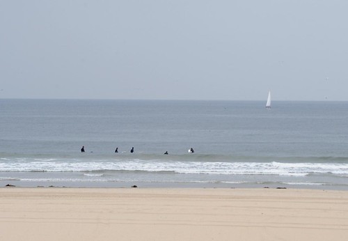 Venice Beach Surfers