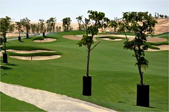 Tiger Woods Dubai, under construction (by: Tiger Woods Dubai)