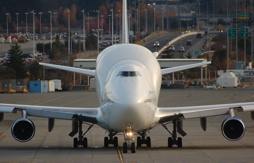 Pmdg 747 - Amazon.de