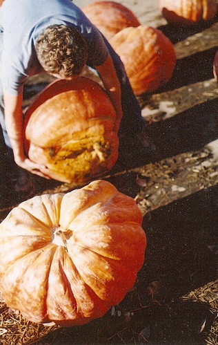 Sauvie Island: Pumpkin Patch 2