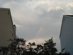 Rare NJ rainbow!!!