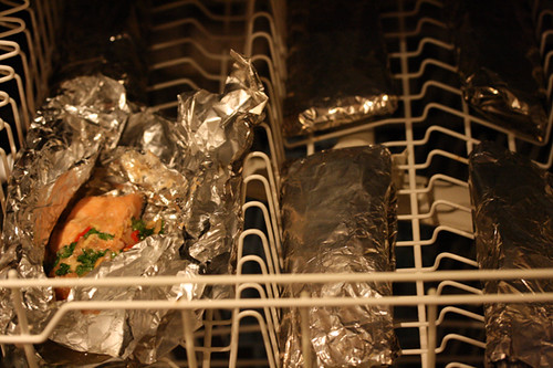 Salmon in the dishwasher