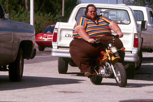 fat guy on bike pic. Fat guy on mini-ike-Fort