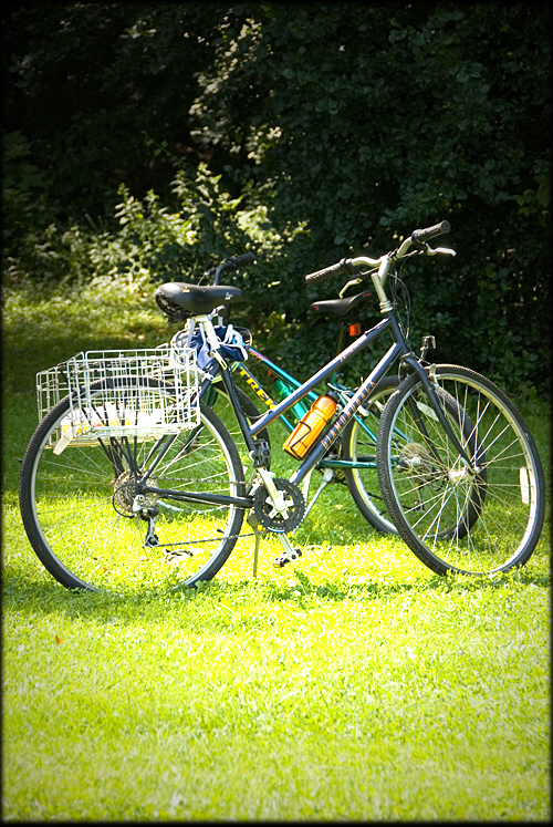 camping-bikes