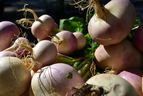 Turnips Basking in the Sun