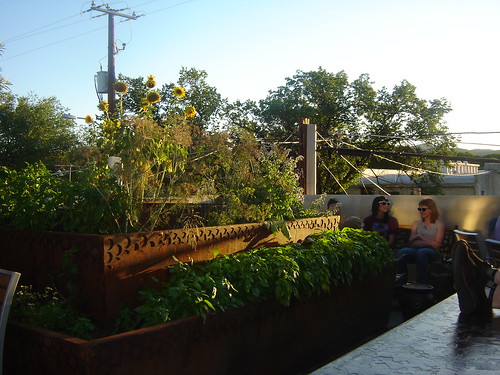 Rooftop Organic Garden at The Raven Cafe by ariztravel, on Flickr