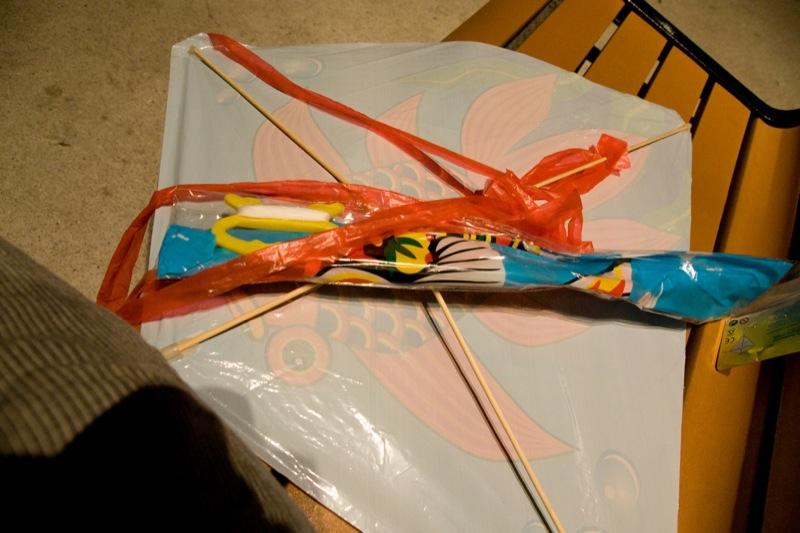 yw-go fly kite-marina barrage-090824-0101.jpg