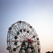 the wheel by davebias