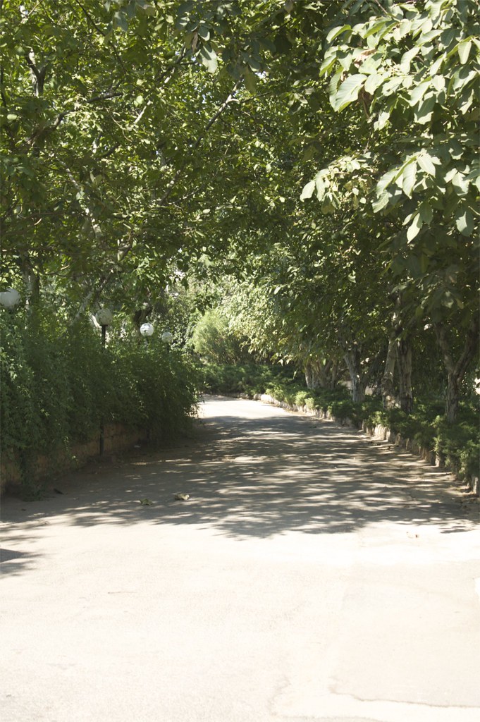 Path To kefraya Winery