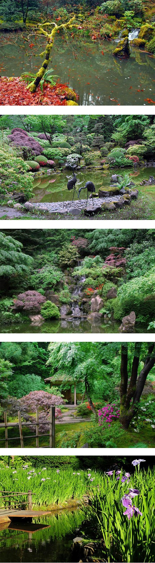 Portland Japanese Garden 1