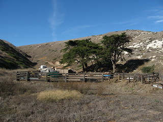 Scorpion Ranch Area, Santa Cruz Island, Channel Islands National Park, California (10)