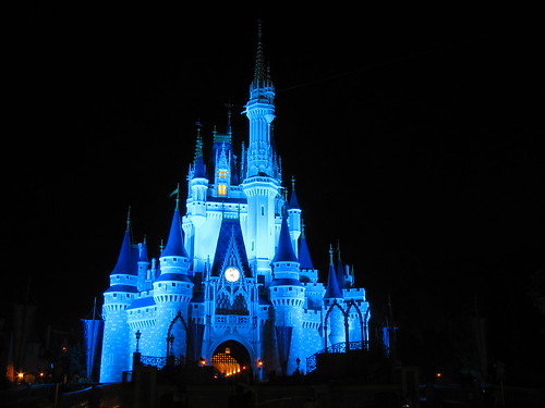 Cinderella Castle in Walt Disney (Set) · Walt Disney World in Florida 