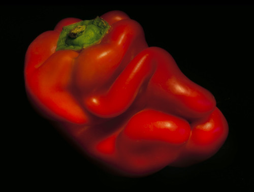 Red Pepper 1