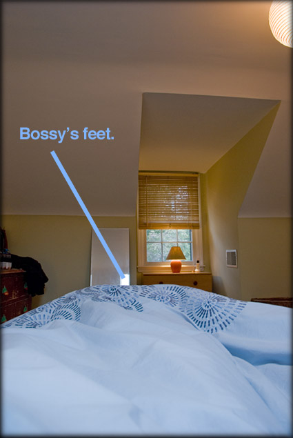 iambossy-georgia-getz-in-bed