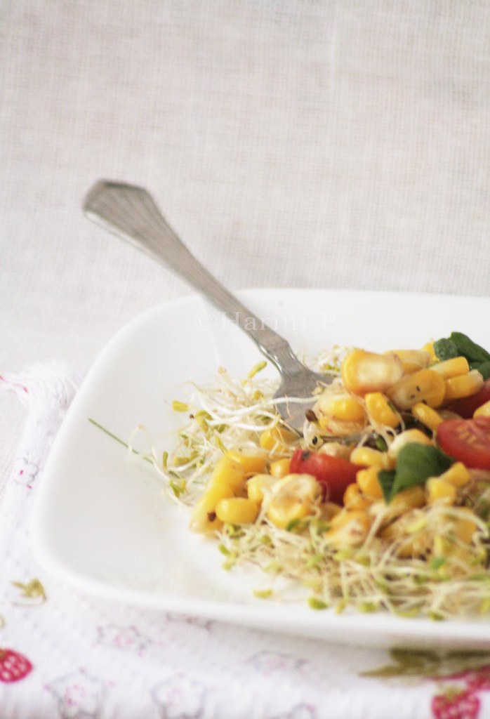 Corn and alfalfa sprouts salad