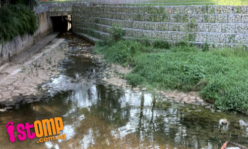 Bishan Park canal clear and doesn't stink now, thanks to STOMP tip-off