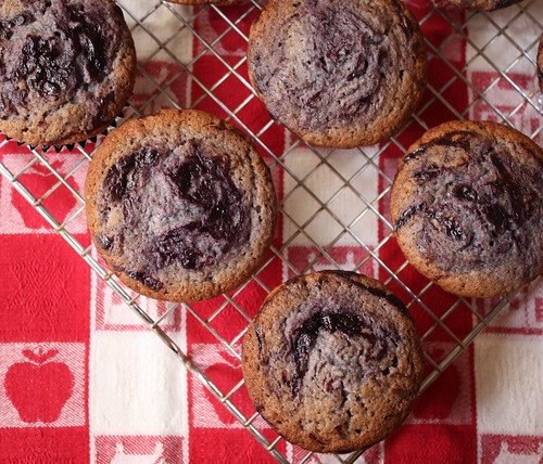 Blueberry Swirl Cupcakes