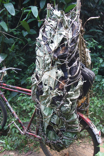 bikeload of bushmeat