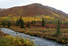 Stitched shot of the scenery along the trail t...