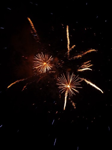 Sonoma Fireworks 6