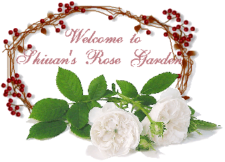 Shiuan's Rose Garden