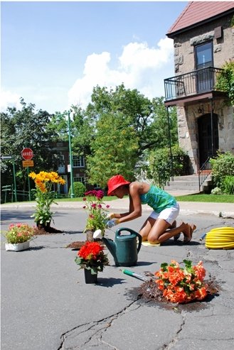 Flowers adorn a pothole, Montreal
