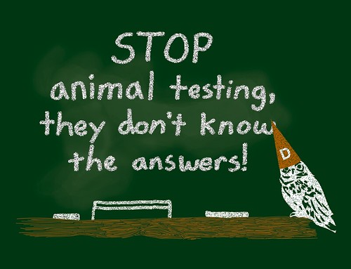 stop animal testing pictures. Stop Animal Testing