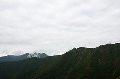 吉田岳への稜線