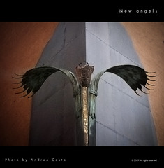 New angel - Praga