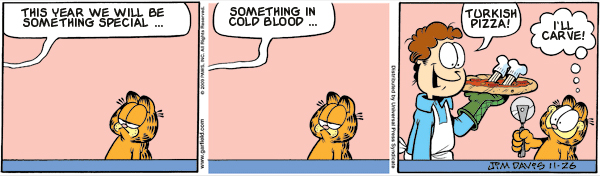 Garfield: Lost in Translation, November 26, 2009