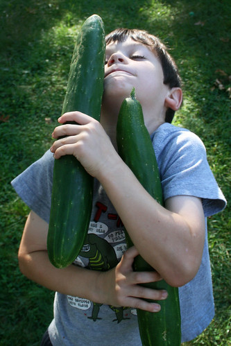 Vegetable harvest: kids enormous cucumber