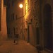 Via della Rena in Certaldo Alto at night