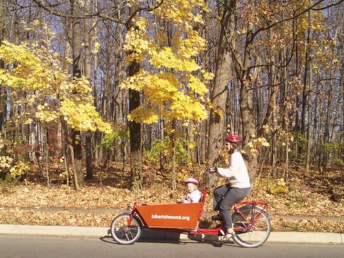 Fall box bike commute