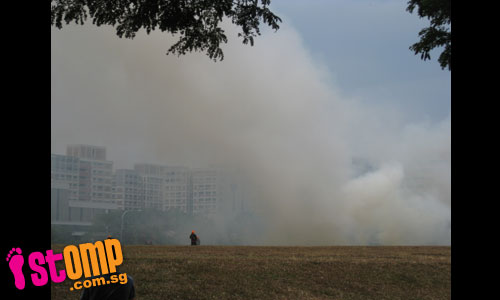  Yet another raging bushfire at Tampines