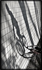 bicycle race (by Beatrice.B.)