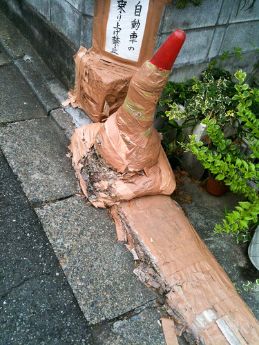 Tokyo Photo jog - Mummified cone