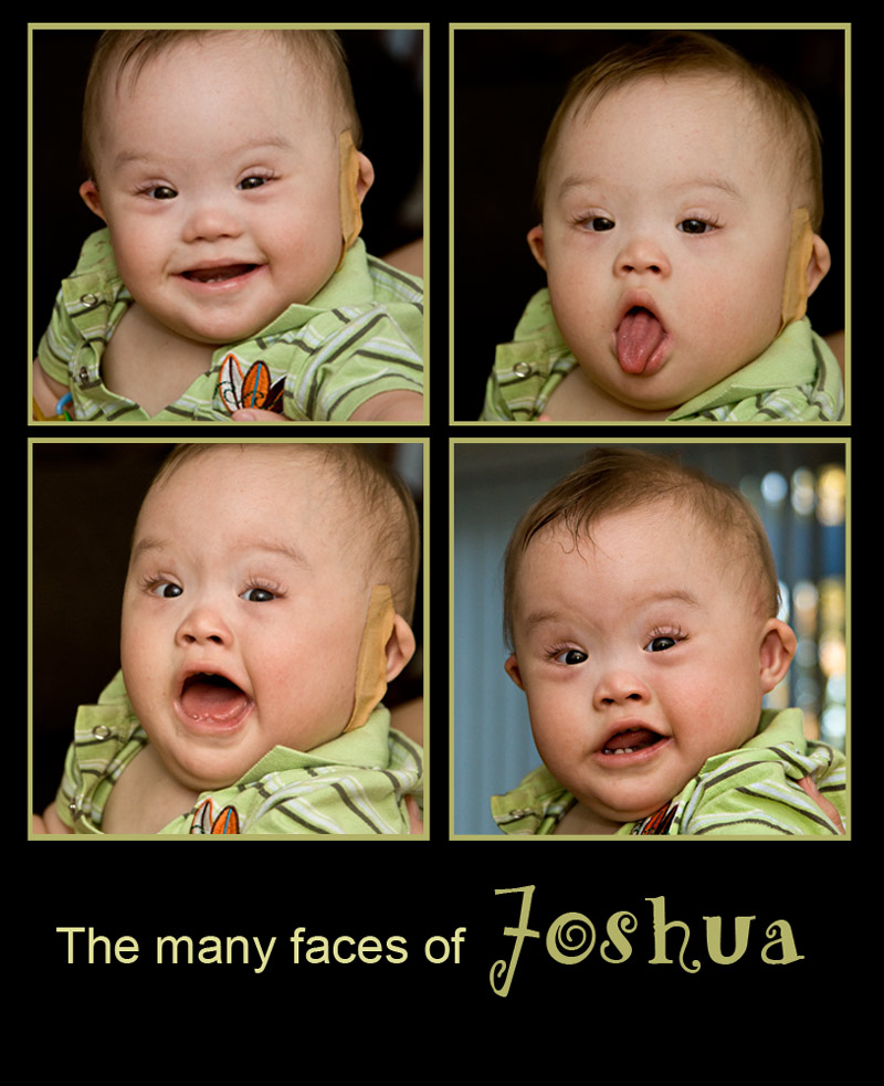 The Many Faces of Joshua