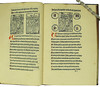 Woodcut illustrations and coloured initials in Vallibus, Hieronymus de: Jesuida seu De passione Christi