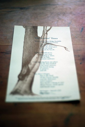 The Lovers' Trees