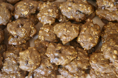 pumpkin oatmeal chocolate chip cookies