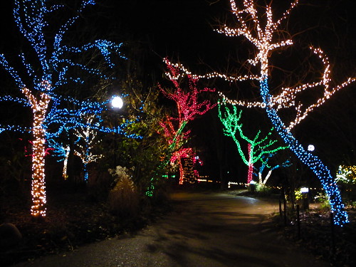 ZOO Lights , Chicago Lincoln Park Zoo (16)