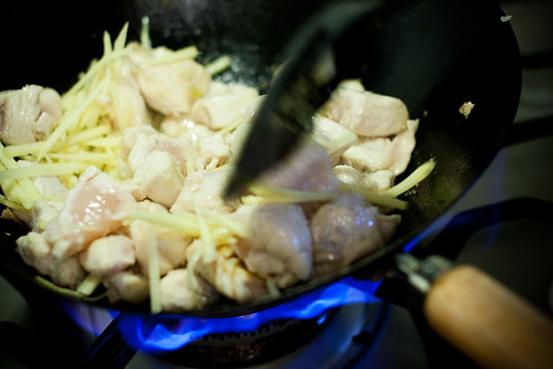 Chicken Ginger and Spring Onions-19.jpg